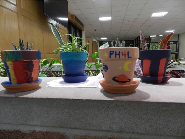 plants